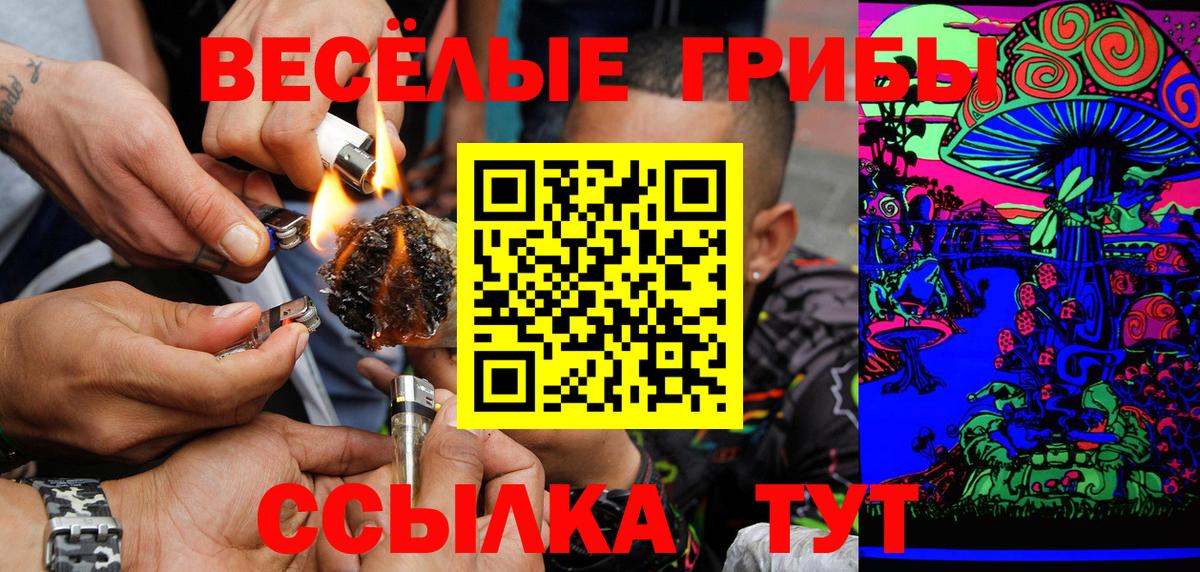 Оренбург  Псилоцибиновые грибы мухоморы  Галлюциногенные грибы мицелий  купить наркоту  Вход с VPN 